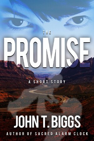 Cover: The Promise