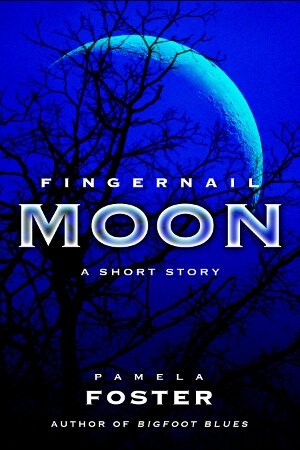 Cover: Fingernail Moon