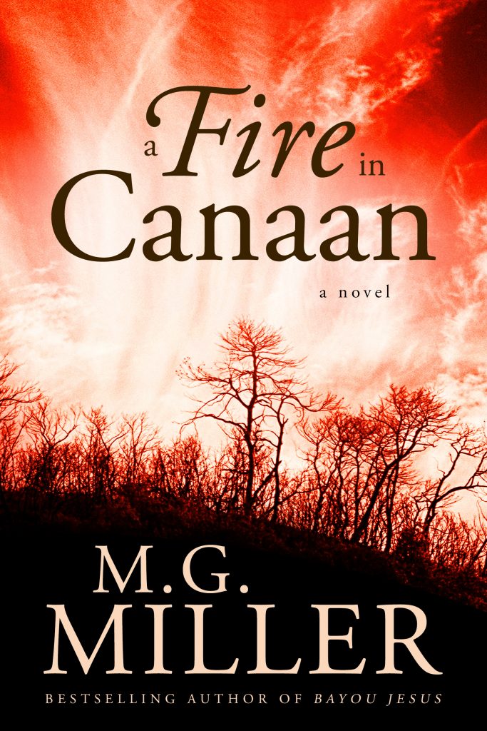Book Cover: A Fire in Canaan