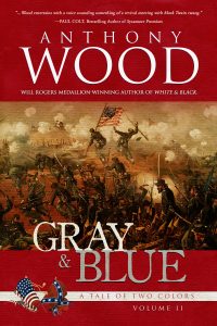 Book Cover: Gray & Blue